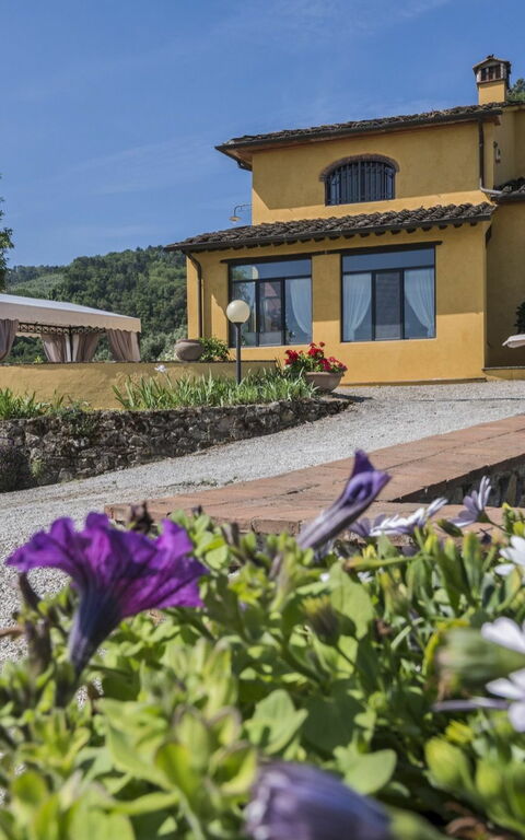 Villa Casalguidi: Esterni, Giardino