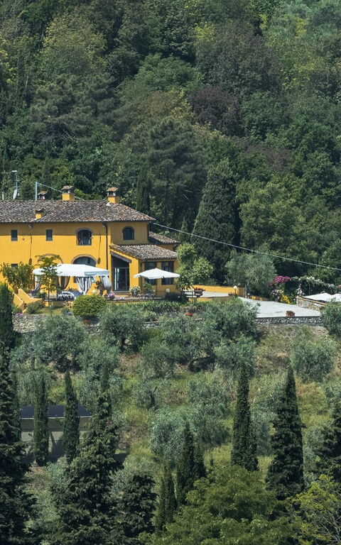 Villa Casalguidi: Giardino