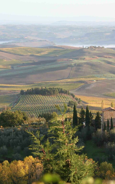 Villa Montalcino: Vista Panoramica