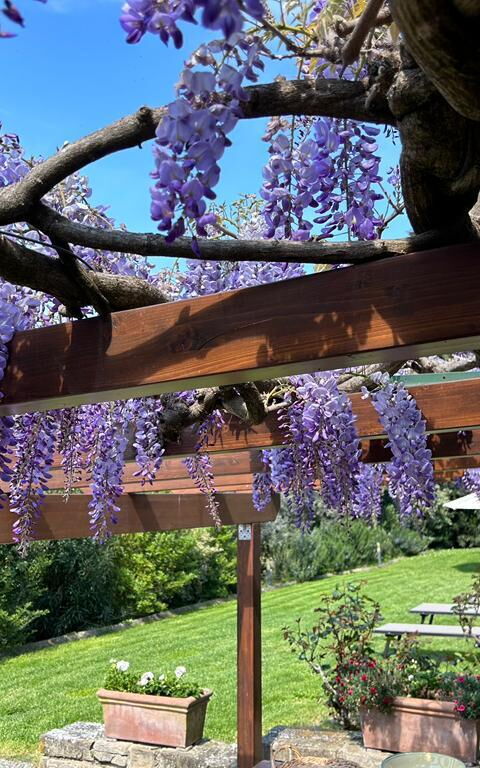 Antico Casale: all'aperto, Balcone / Terrazza / Patio, Esterni