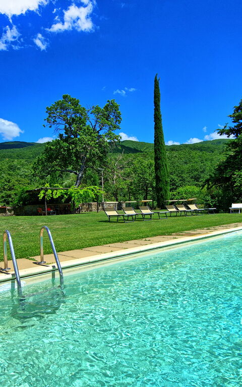Villa Poggiolino: all'aperto, Esterni, Giardino, Piscina
