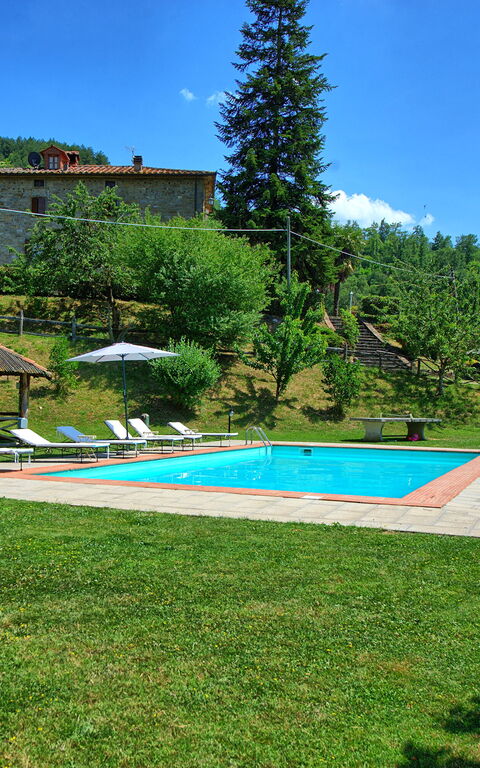 Villa Margherita Due: all'aperto, Giardino, Piscina