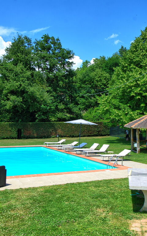 Villa Margherita Due: all'aperto, Giardino, Piscina