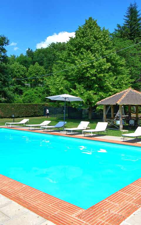 Villa Margherita Due: all'aperto, Giardino, Piscina
