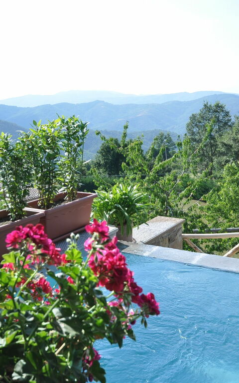 Villa Margherita Tre: Piscina