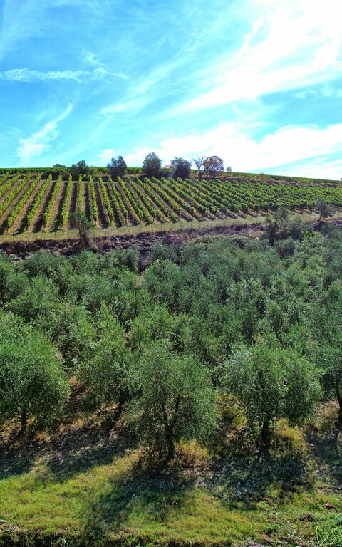Casa Maria Luisa: Vista Panoramica