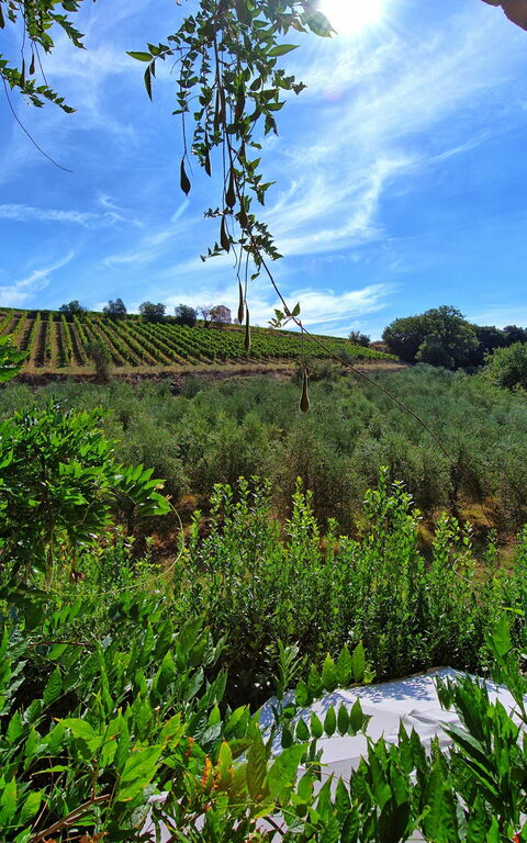 Casa Maria Luisa: Vista Panoramica
