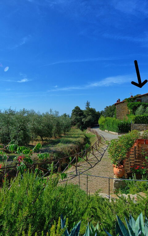 Casa Maria Luisa: all'aperto