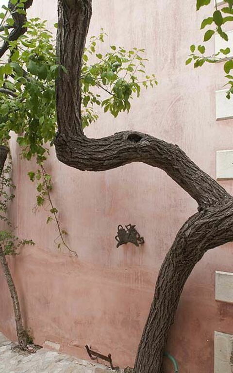 Baglio Maranzano - Titi: Esterni