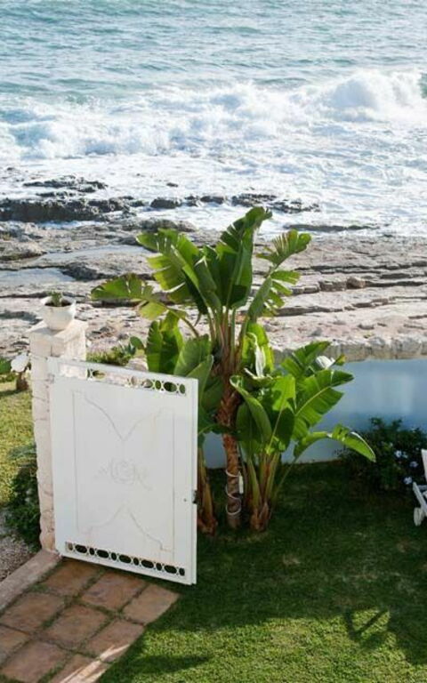 Villa Antares: Giardino