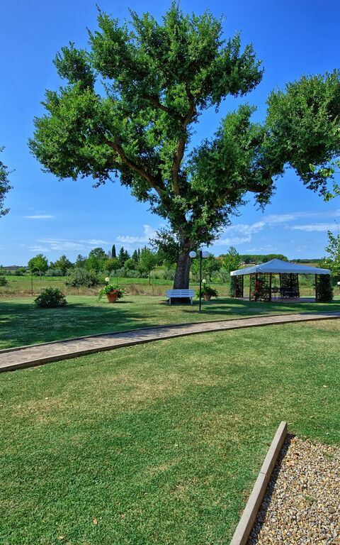 Casa Catia: Giardino