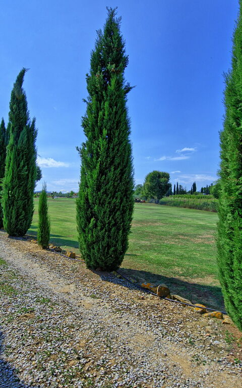 Casa Catia: Vista Panoramica
