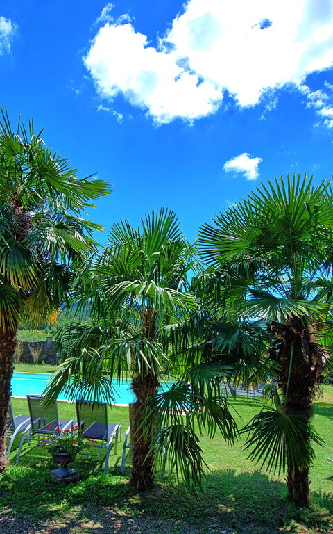 Villa Capolona: all'aperto, Piscina, Vista Panoramica