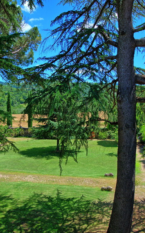 Villa Capolona: all'aperto, Vista Panoramica