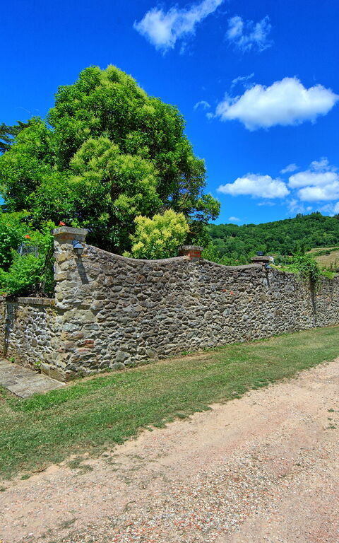 Villa Capolona: all'aperto