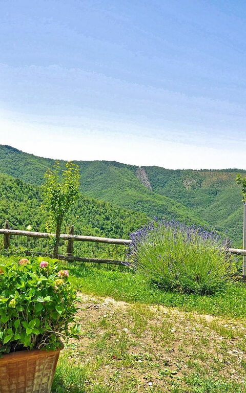 Villa Margherita Uno: Giardino