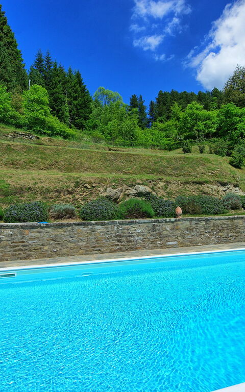 Villa Portole Uno: Piscina