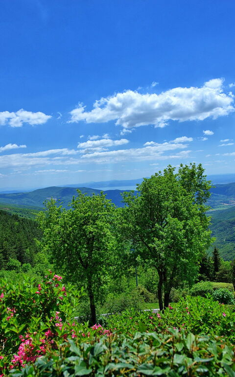 Villa Portole Due: Vista Panoramica