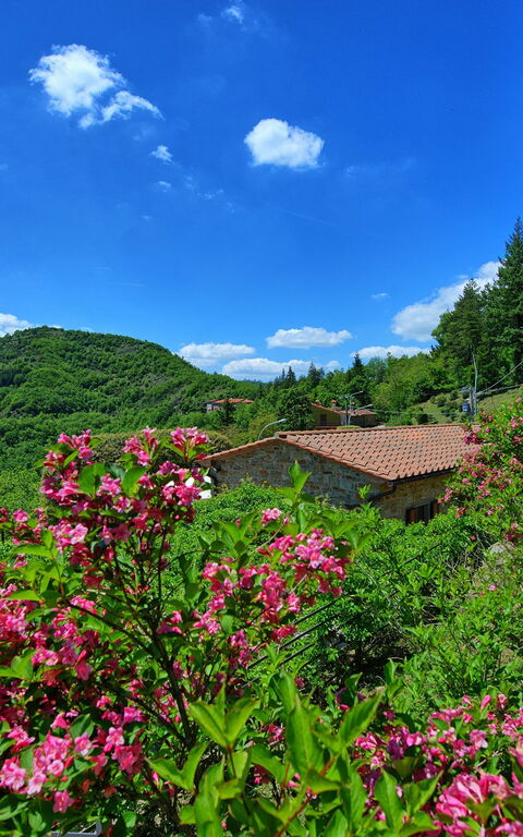 Villa Portole Due: Vista Panoramica