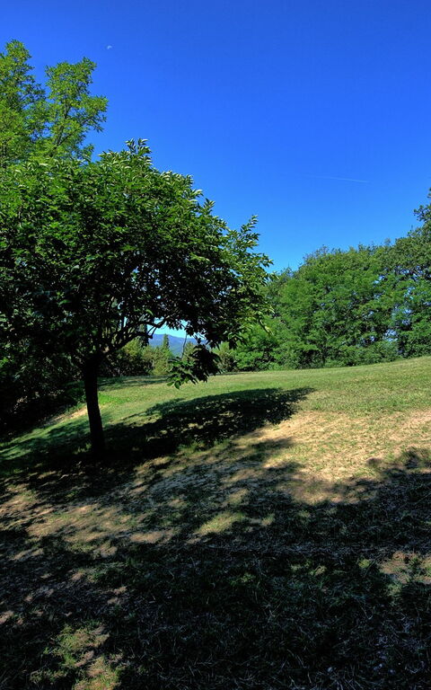 Casale Giotto: Giardino