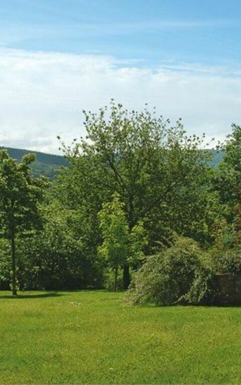 Villa Marika: Giardino