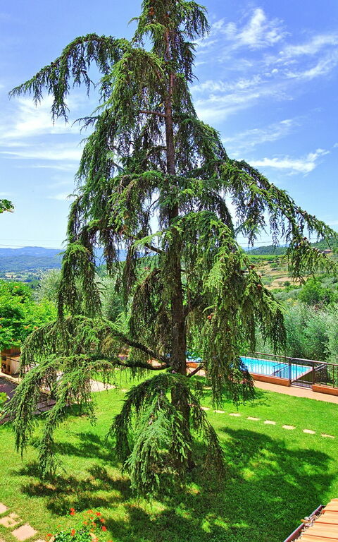 Villa Lorena: Giardino