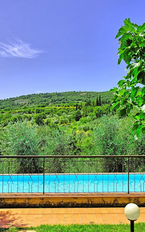 Villa Lorena: Piscina