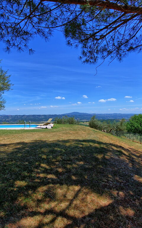 Casa Olivia: Giardino