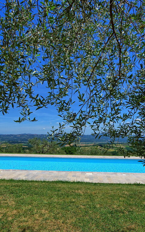 Casa Olivia: Piscina