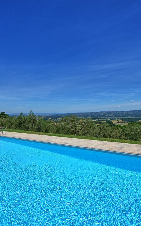 Casa Olivia: Piscina