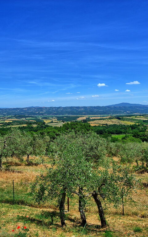 Casa Olivia: Vista Panoramica