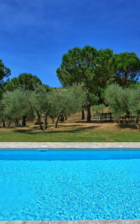 Casa Olivia: Piscina