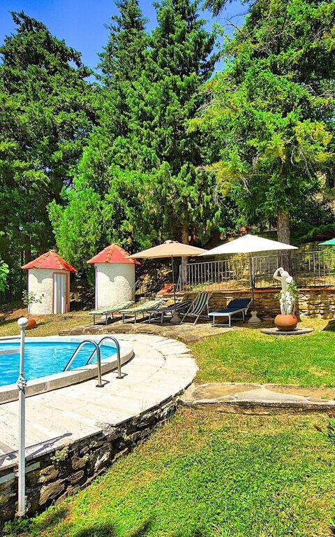 Villa Luciano: Giardino, Piscina