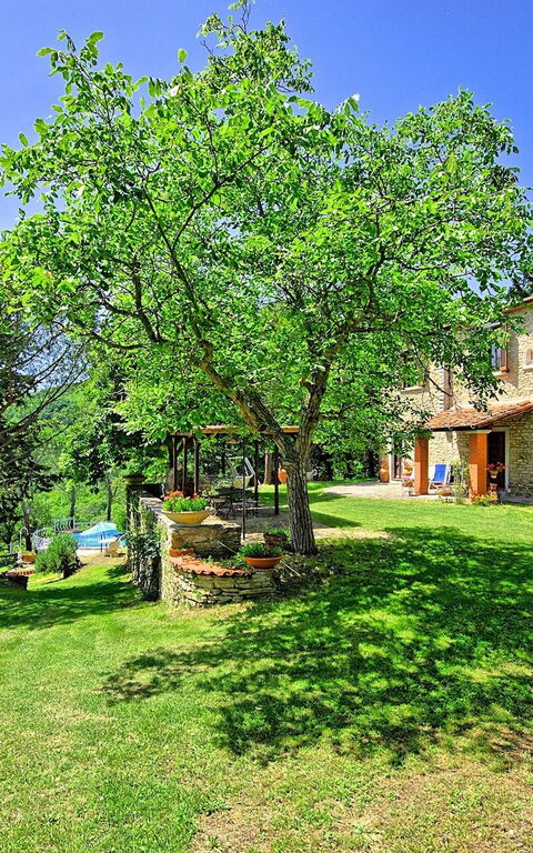 Villa Luciano: Giardino