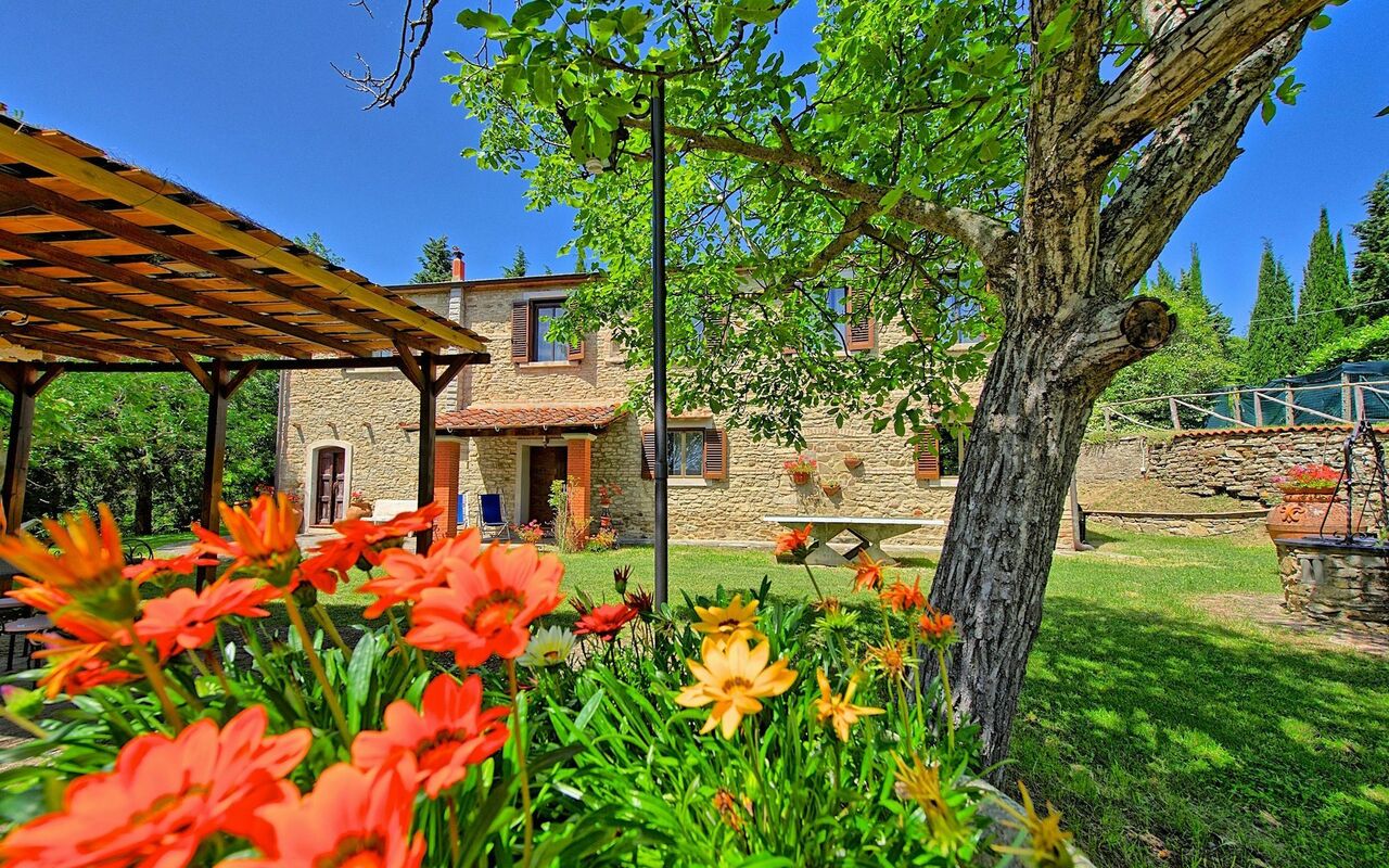 Villa Luciano: Giardino