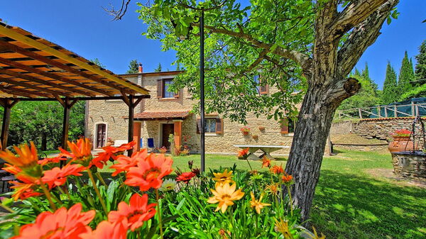 Villa Luciano: Giardino