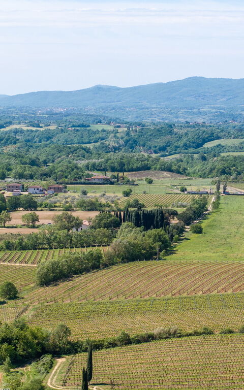 Villa Morandi: all'aperto, Vista Panoramica