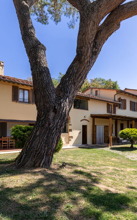 Villa Morandi: all'aperto, Esterni, Giardino