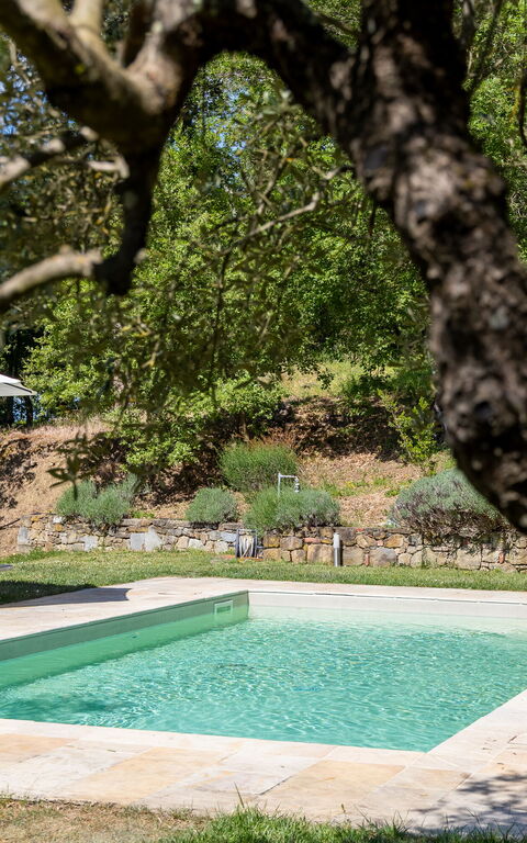 Villa Morandi: all'aperto, Giardino, Piscina, Vista Panoramica