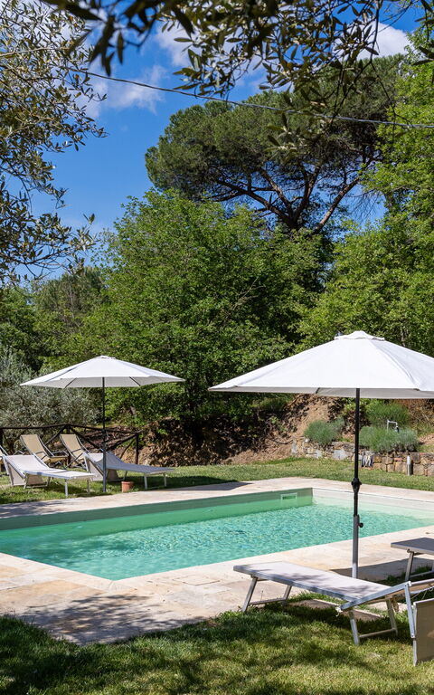 Villa Morandi: all'aperto, Giardino, Piscina