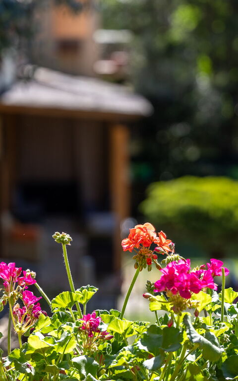 Villa Morandi: all'aperto, Giardino