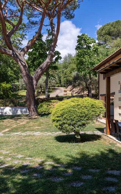 Villa Morandi: all'aperto, Balcone / Terrazza / Patio, Esterni, Giardino