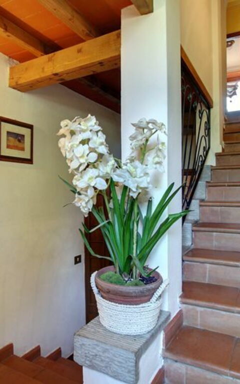 Villa Acacia: Altra Stanza