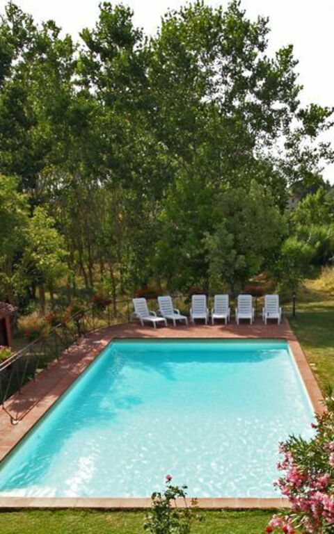 Villa Acacia: Piscina