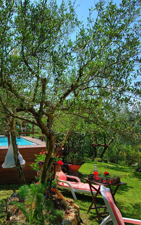 La Ruota: Estate, Giardino