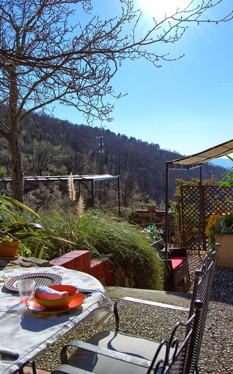 Villa Tenuta Lonciano: all'aperto, Giardino
