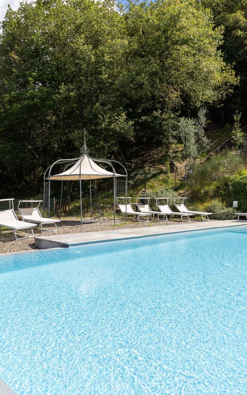 Villa Tenuta Lonciano: all'aperto, Piscina