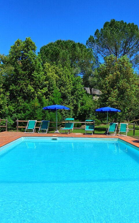 Villa Picchio: all'aperto, Piscina