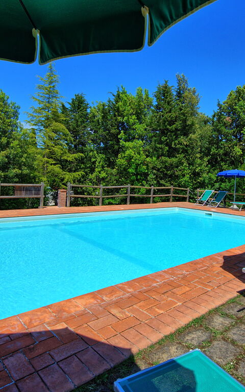 Villa Picchio: all'aperto, Piscina