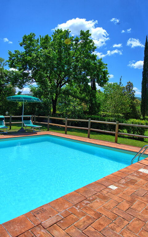 Villa Picchio: all'aperto, Esterni, Piscina